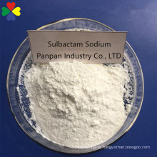 CAS 69388-84-7 best price buy drugs sulbactam sodium